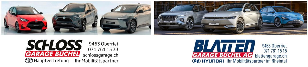 Ihr Toyota oder Hyundai im flexiblen Abo
